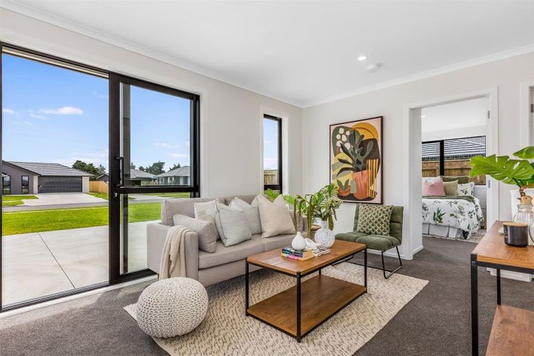 Photo of property in 109 Hinemoa Street, Levin, 5510