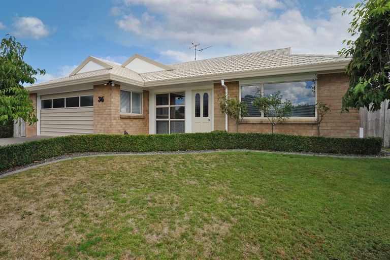 Photo of property in 36 Macmurdo Avenue, Glenview, Hamilton, 3206