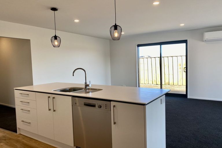 Photo of property in 55 Bonecrusher Street, Lincoln, 7608