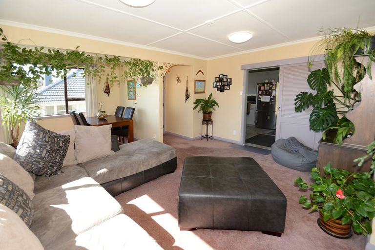 Photo of property in 177 Brockville Road, Brockville, Dunedin, 9011