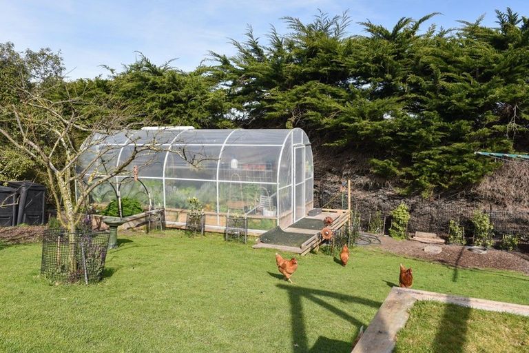 Photo of property in 44 Tomahawk Road, Andersons Bay, Dunedin, 9013