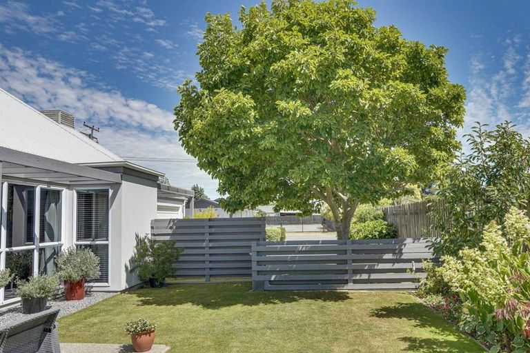 Photo of property in 8 Adams Lane, Springlands, Blenheim, 7201