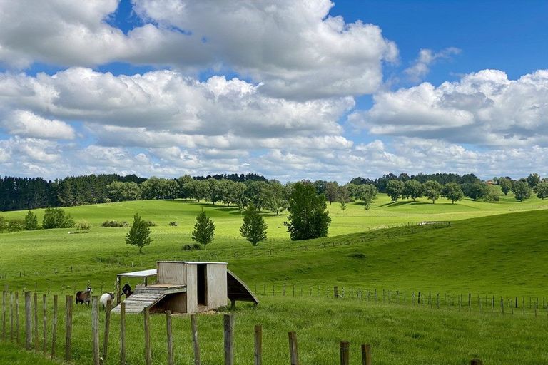 Photo of property in 2137 Te Rahu Road, Te Awamutu, 3879