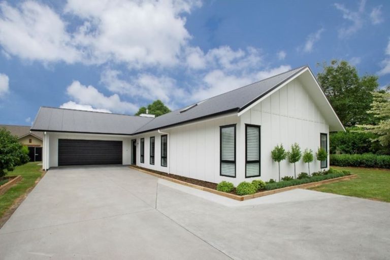 Photo of property in 7 Eldonwood Drive, Matamata, 3400