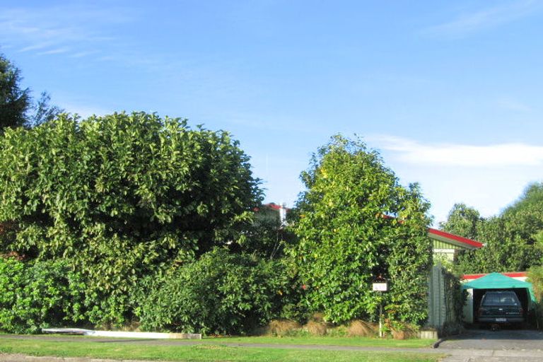 Photo of property in 117 Paraonui Road, Tokoroa, 3420