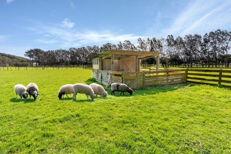 Photo of property in 48 Elizabeth Street, Waikanae, 5036