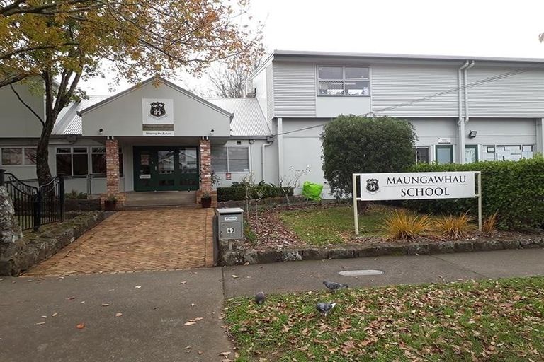 Photo of property in 46 Ellerton Road, Mount Eden, Auckland, 1024