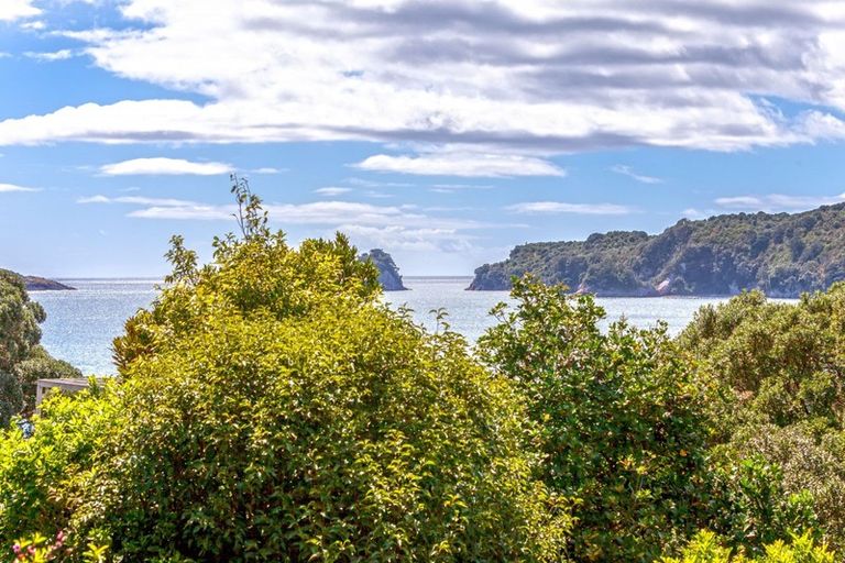 Photo of property in 20 Tutaritari Road, Hahei, Whitianga, 3591