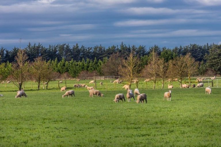 Photo of property in 1727 South Eyre Road, Eyrewell, Rangiora, 7476