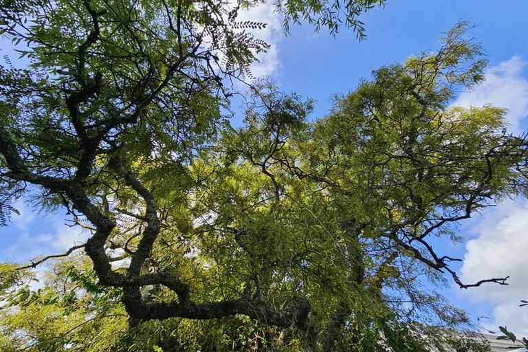 Photo of property in 55 Nelson Quay, Cobden, Greymouth, 7802