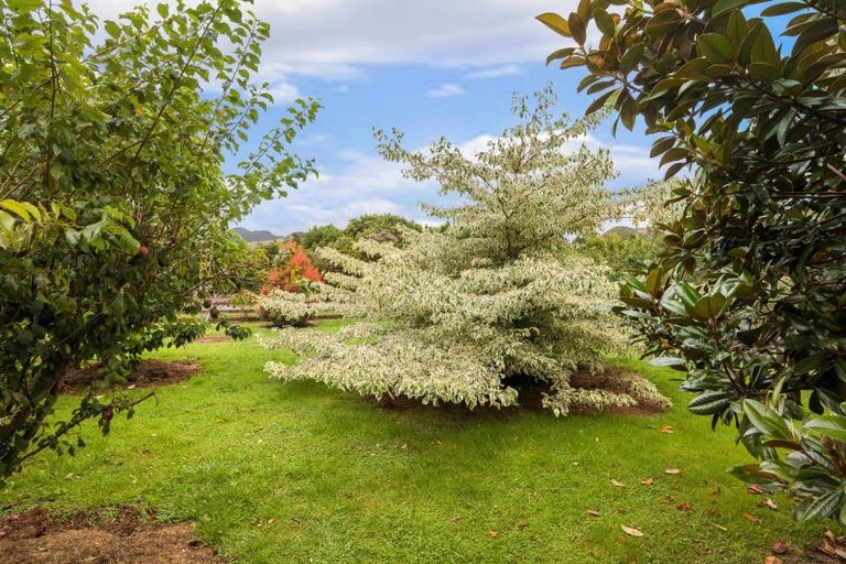 Photo of property in 4 Reservoir Road, Waihi, 3610