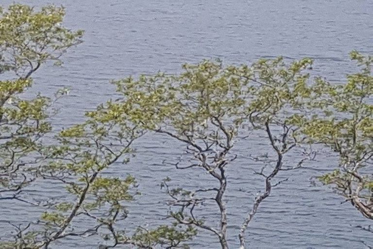 Photo of property in 17 Parawera Drive, Acacia Bay, Taupo, 3330