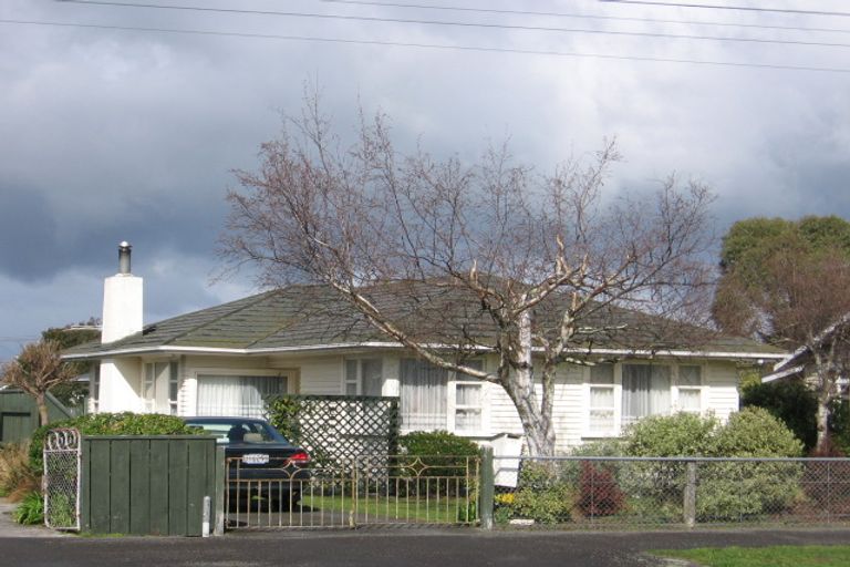 Photo of property in 117 Pownall Street, Masterton, 5810