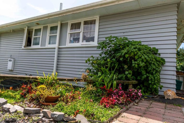 Photo of property in 47a Taniwha Place, Bethlehem, Tauranga, 3176