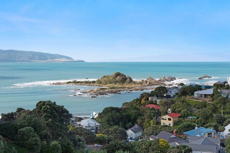 Photo of property in 19 Oku Street, Island Bay, Wellington, 6023