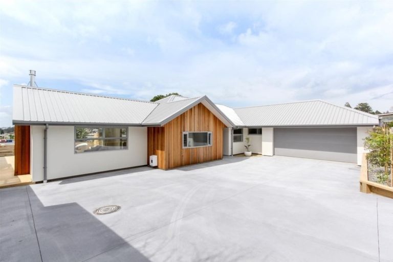 Photo of property in 55b Paynters Avenue, Strandon, New Plymouth, 4312