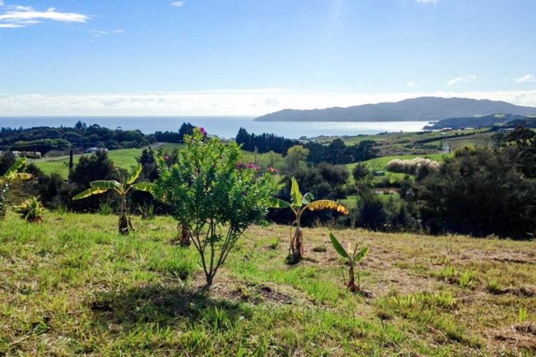 Photo of property in 356 Cable Bay Block Road, Cable Bay, 0420