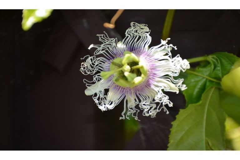 Photo of property in 71 River Road, Kawerau, 3127