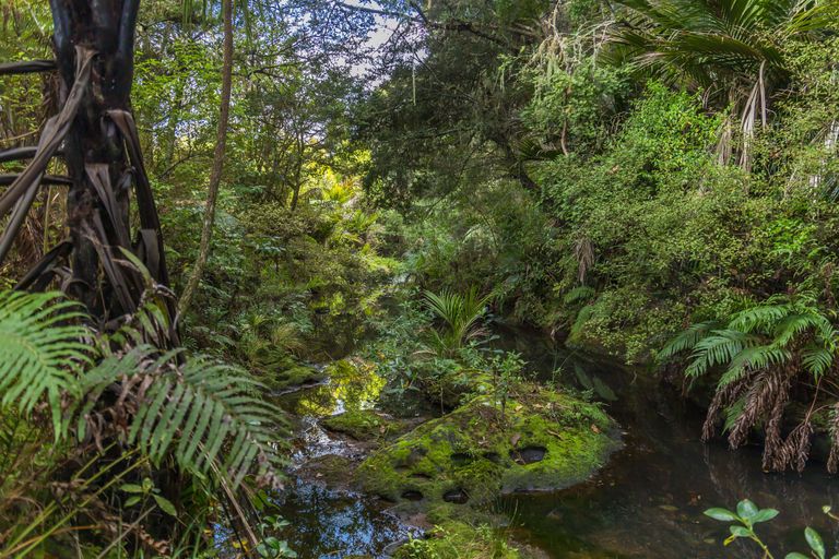 Photo of property in 233 Ahuroa Valley Road, Makarau, Warkworth, 0981