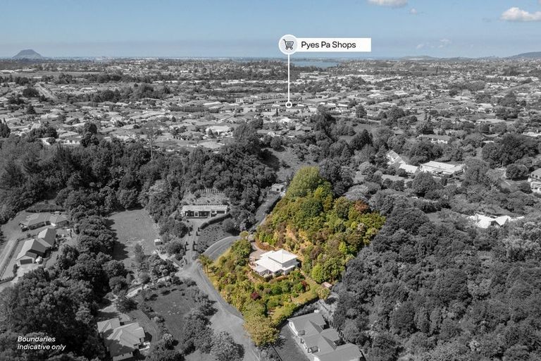 Photo of property in 50 Stonebridge Way, Pyes Pa, Tauranga, 3112