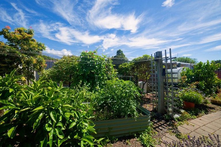 Photo of property in 149b Beach Road, Kaikoura, 7300