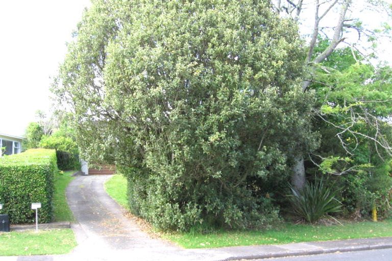Photo of property in 14 Alton Avenue, Hillcrest, Auckland, 0627
