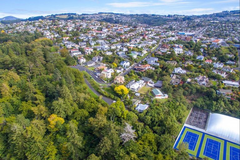 Photo of property in 73a Sligo Terrace, Roslyn, Dunedin, 9010