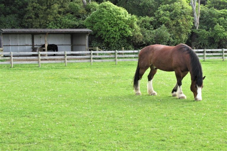 Photo of property in 207 Takapu Road, Manakau, Levin, 5573