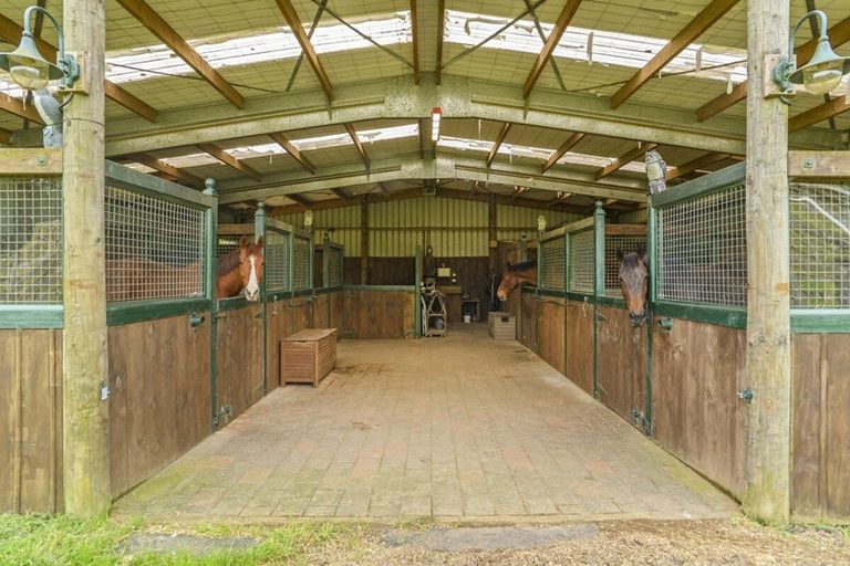 Photo of property in 274 Hot Springs Road, Tahawai, Katikati, 3178