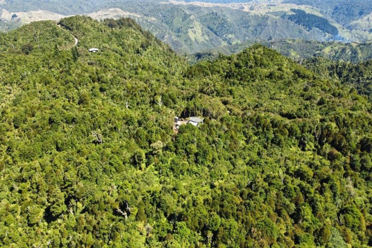 Photo of property in 552 Cuff Road, Erua, Owhango, 3990