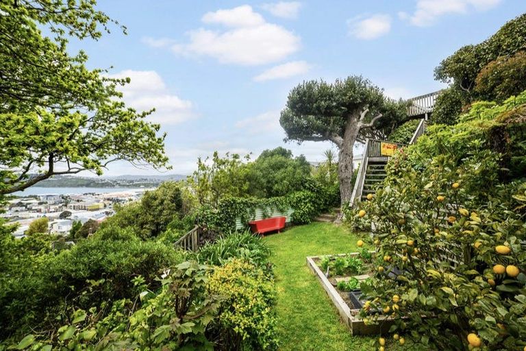 Photo of property in 50 Rodrigo Road, Kilbirnie, Wellington, 6022