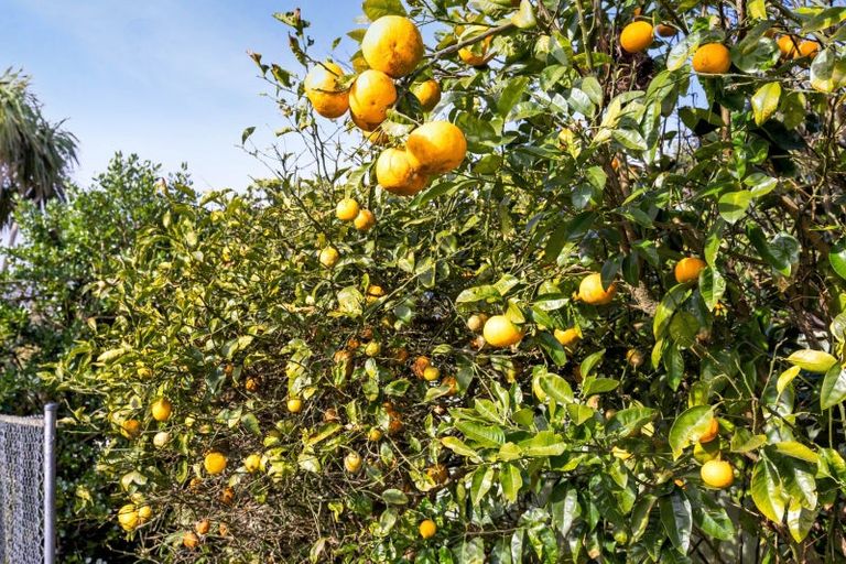 Photo of property in 3 Karaka Street, Hawera, 4610