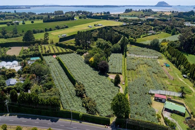 Photo of property in 42 Borell Road, Te Puna, Tauranga, 3174