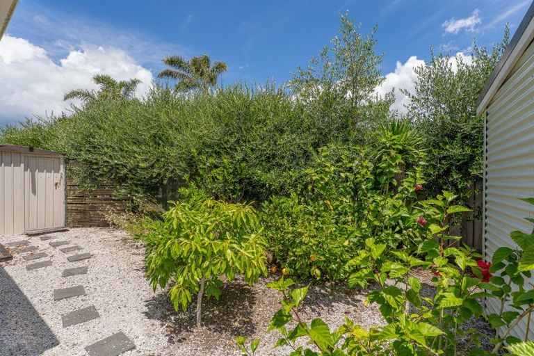 Photo of property in 662 Matarangi Drive, Matarangi, Whitianga, 3592