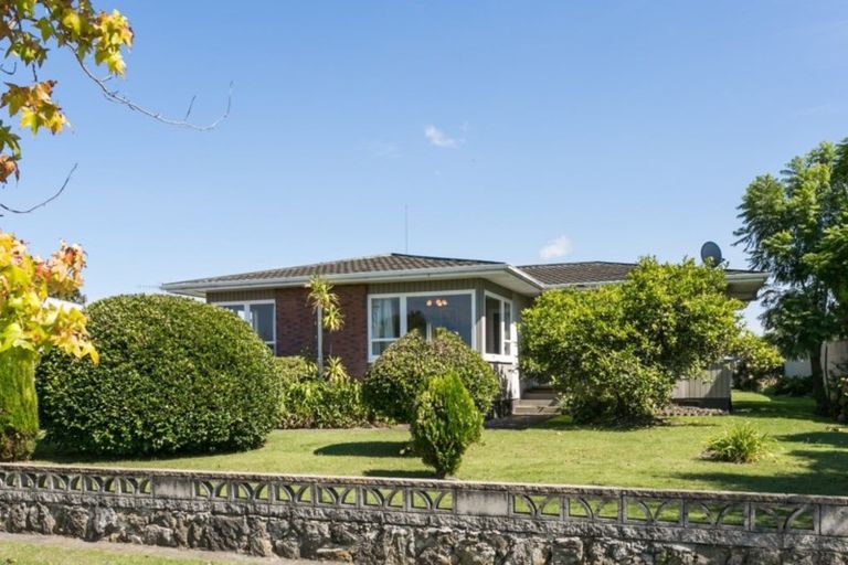 Photo of property in 17 Rochester Street, Tamatea, Napier, 4112