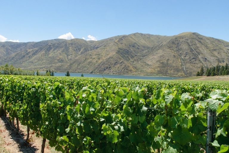 Photo of property in 49 Awahokomo Road, Kurow, 9435