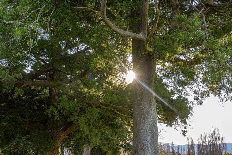 Photo of property in 23 Orchard Road, Greytown, 5712