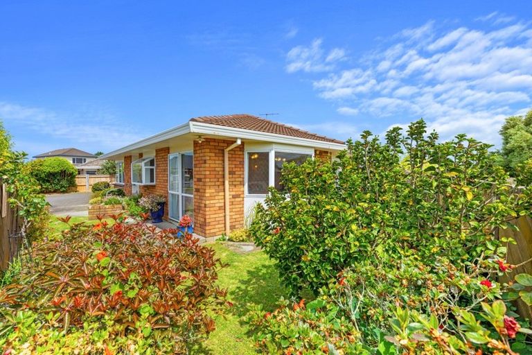 Photo of property in 19b Reilly Avenue, Mount Maunganui, 3116