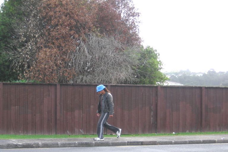 Photo of property in 50 Larissa Avenue, Henderson, Auckland, 0610