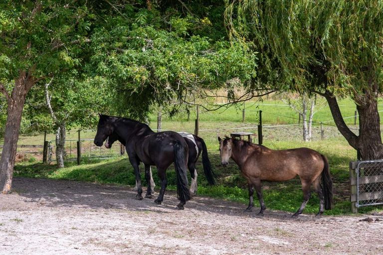 Photo of property in 306 Oneriri Road, Kaiwaka, 0573