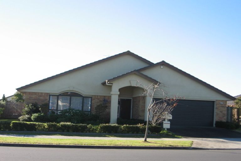 Photo of property in 163 Wattle Farm Road, Wattle Downs, Auckland, 2103