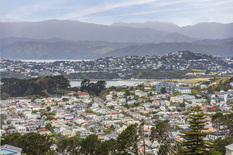 Photo of property in 3/27 Whaui Street, Vogeltown, Wellington, 6021