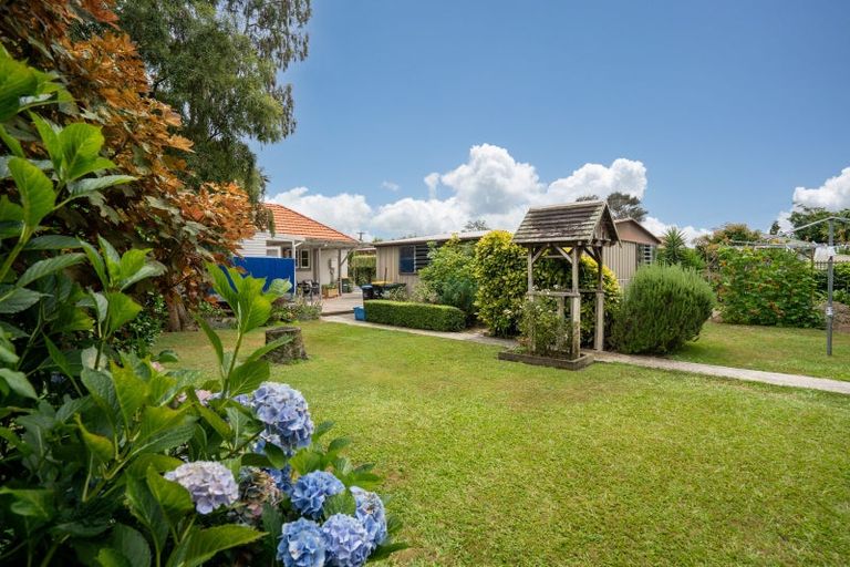 Photo of property in 147 Taylor Street, Cambridge, 3434