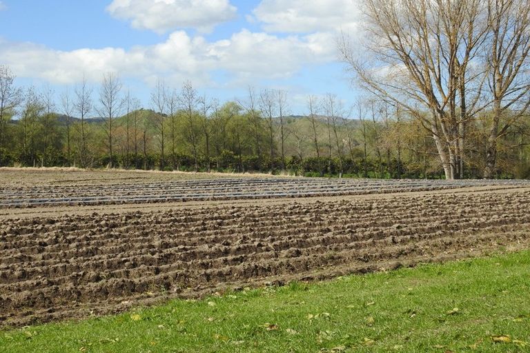 Photo of property in 1468 Matawai Road, Ormond, Gisborne, 4071