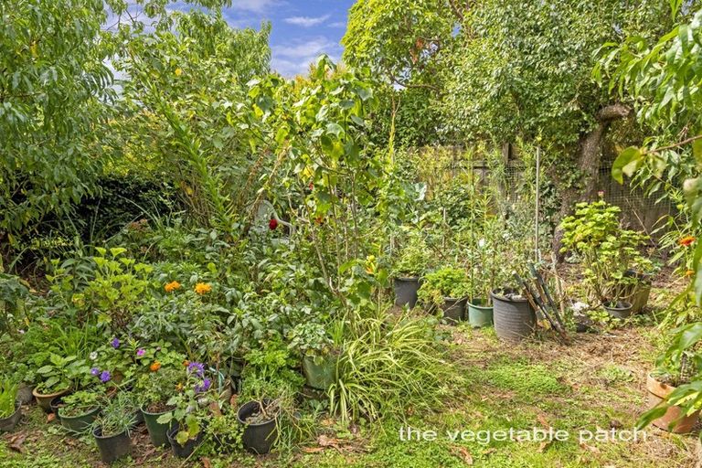 Photo of property in 26 Udys Road, Pakuranga, Auckland, 2010