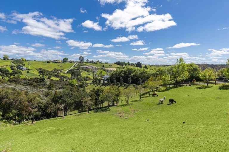 Photo of property in 5b The Prom, Coatesville, Albany, 0793