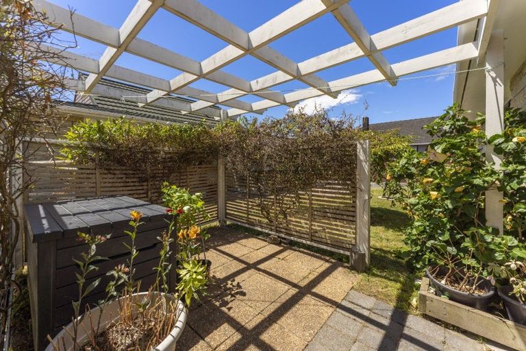 Photo of property in 12 Frederick Street, Avalon, Lower Hutt, 5011