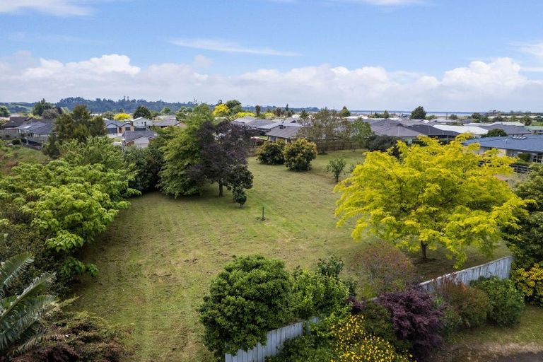 Photo of property in 19 Binnie Road, Katikati, 3129