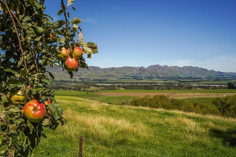 Photo of property in 180 Leader Road West, Waiau, 7395