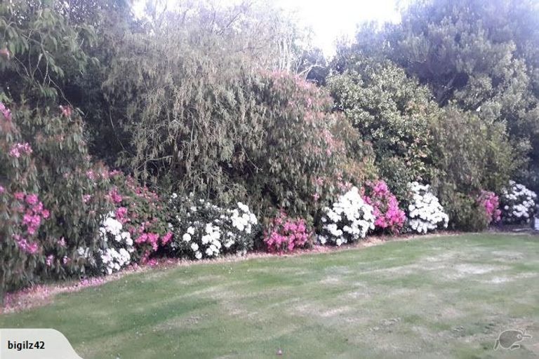 Photo of property in 300 Scott Street, Tisbury, Invercargill, 9877